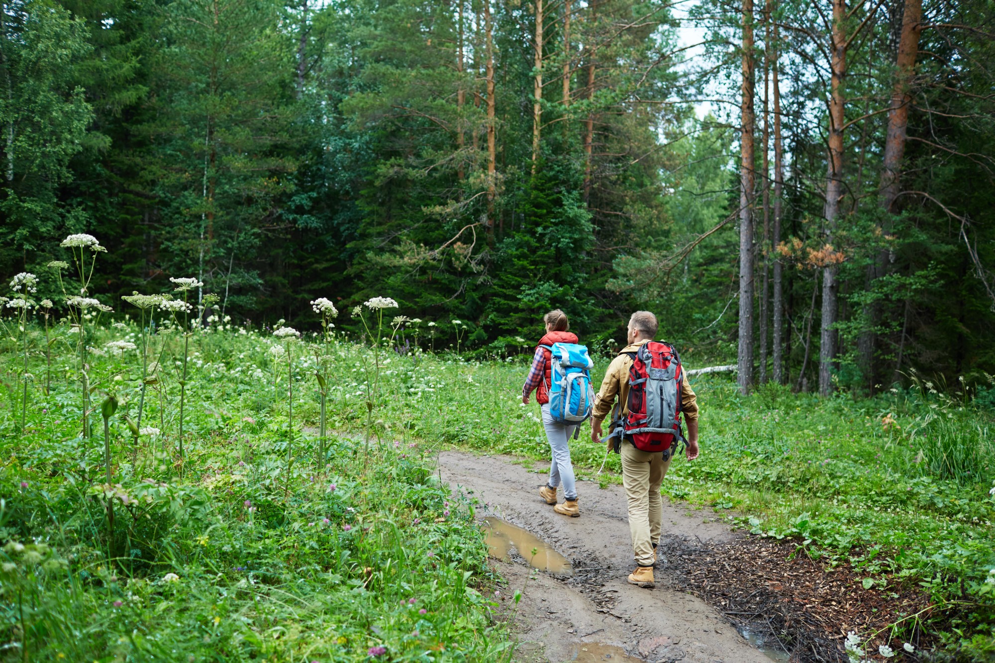 Couple hiking